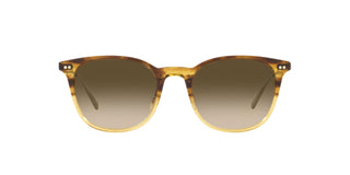 
  
    Canarywood Gradient | Chrome Olive Photochromic
  
