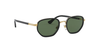 
  
    Gold & Black|Polar Green - Polarized
  
