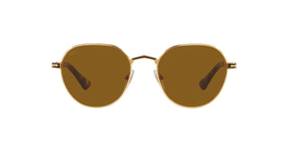 
  
    110933 Gold/Havana|Brown
  
