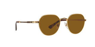 
  
    110933 Gold/Havana|Brown
  
