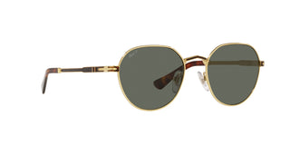 
  
    110958 Gold/Havana | Brown
  
