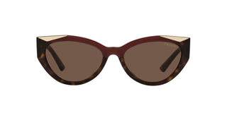 
  
    Cherry/Dark Havana | Dark Brown
  
