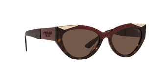 
  
    Cherry/Dark Havana | Dark Brown
  
