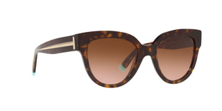 
  
    Havana | Gradient Brown
  
