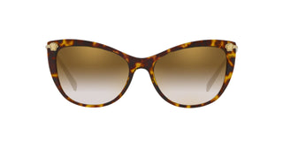 
  
    Ve4345b Versace Sunglasses
  
