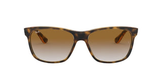 
  
    Light Havana | Clear Gradient Brown
  
