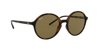 
  
    Light Havana | Dark Brown
  
