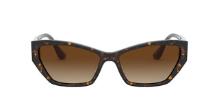 
  
    Havana | Brown Gradient Dark Brown
  
