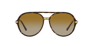 
  
    Havana | Polar Brown Gradient - Polarized
  
