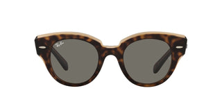 
  
    Havana On Transparent Brown | Dark Grey
  
