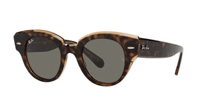 
  
    Havana On Transparent Brown | Dark Grey
  
