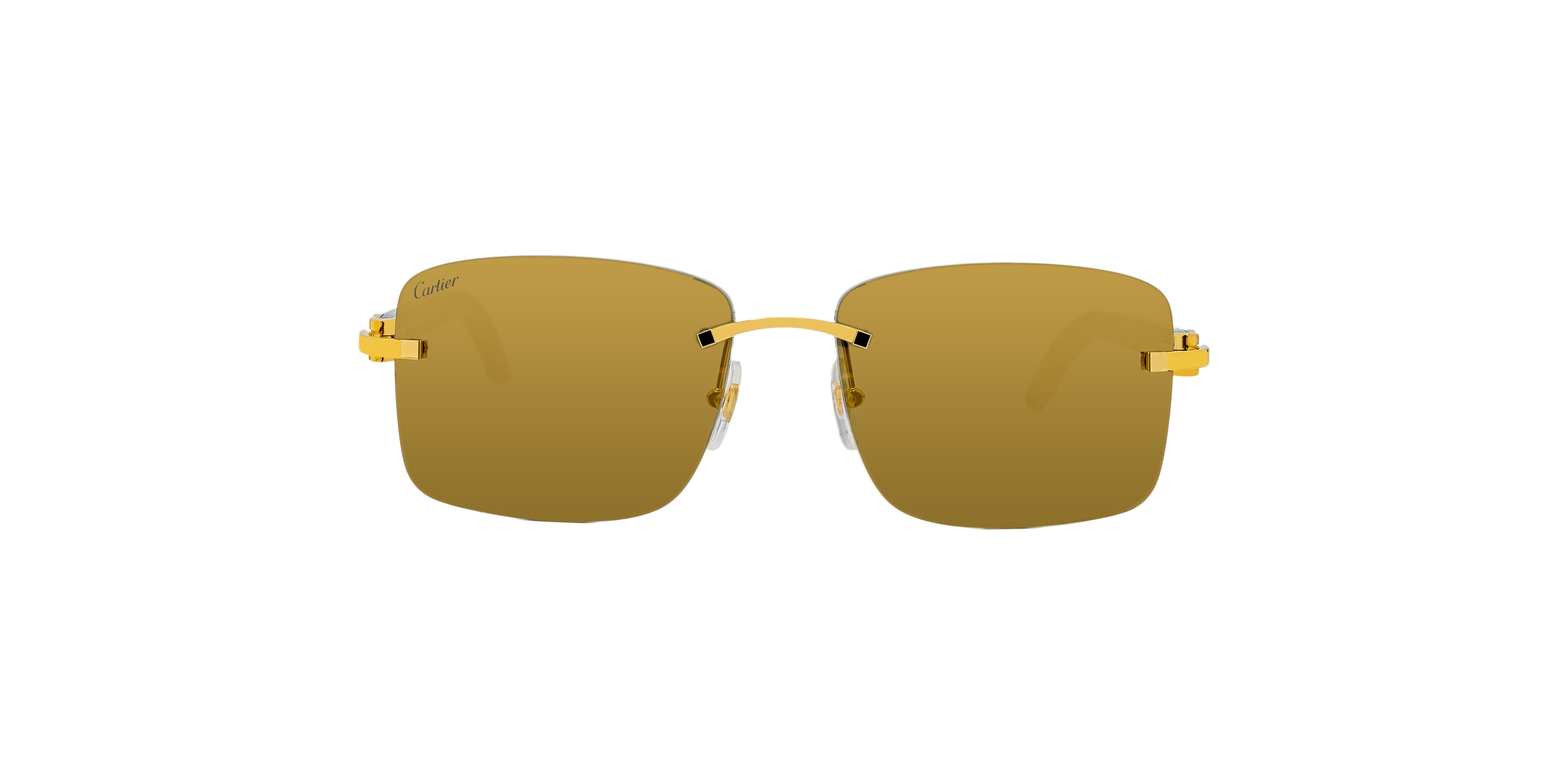 SIGNATURE CT0030RS CARTIER Sunglasses